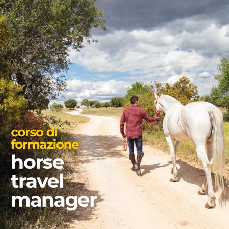 corso horse travel manager